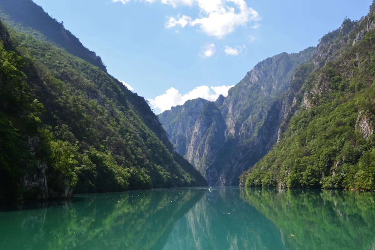 The Drina River between forested canyon walls
