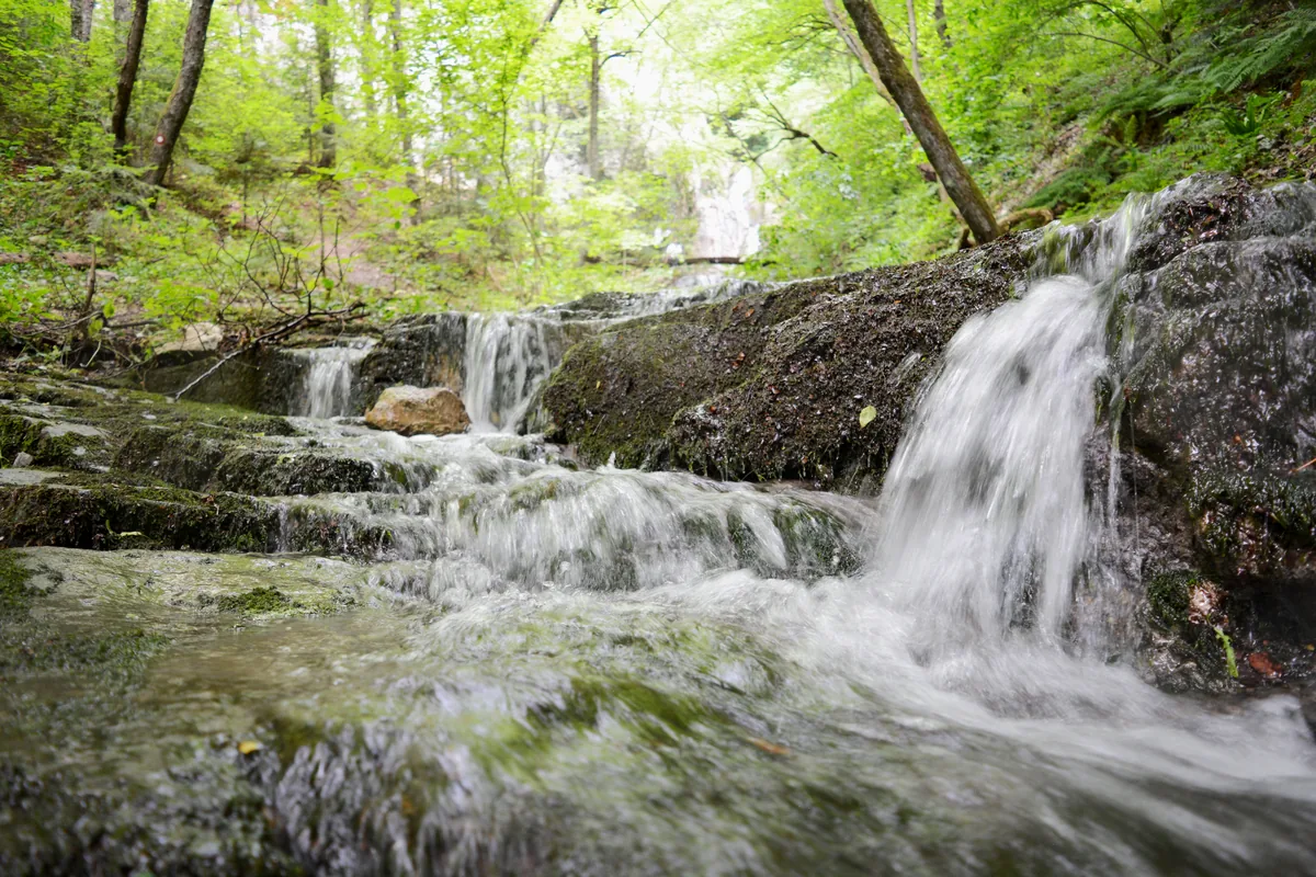 A forest stream and cascades in Kozara National Park